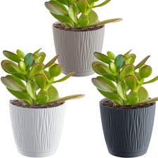 Pot de fleurs pot de plante