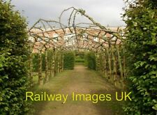 Photo - Espalier fruit trees Temple Newsam Park Colton c2006