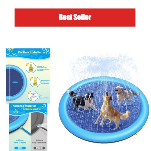 Piscine pour chien - piscine,
