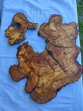 Énorme dalle de loupe en bois