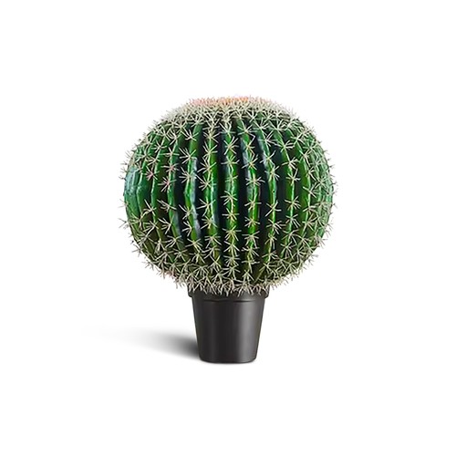 Ivoq cactus artificiel - cm,