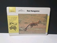 Vintage 1992 Grolier Mammals