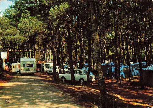 Jard sur mer camping - jard,