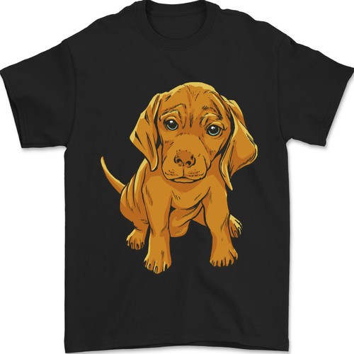 Hongrois magyar vizsla - vizsla, chiot