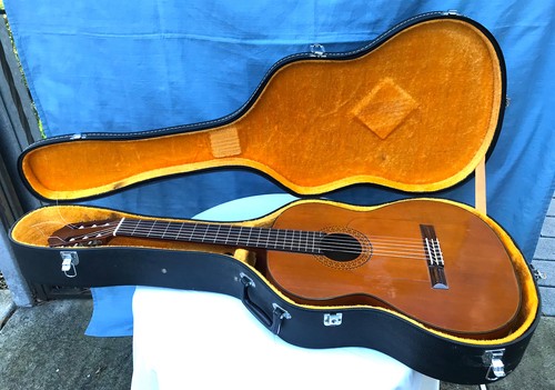 Flamenco guitar ryoji - ryoji, matsuoka