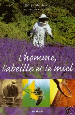 Homme abeille et le miel - l'homme,,