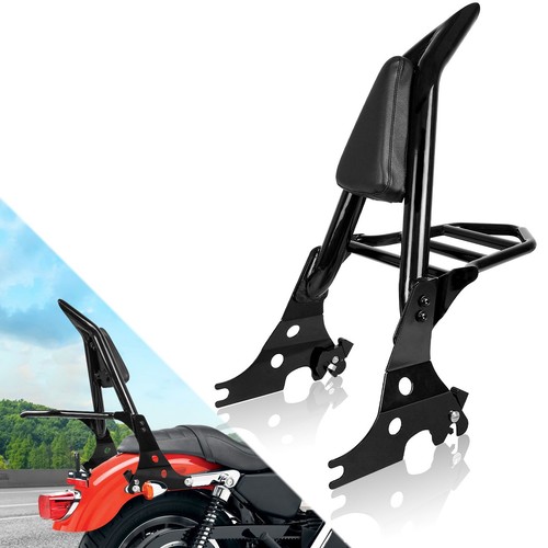 Detachable sissy bar - detachable,