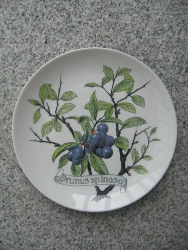 Assiette murale porcelaine - assiette,