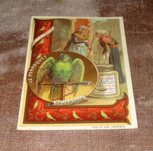 Chromo liebig le perroquet - liebig, «
