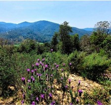 Terrain non constructible