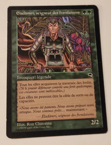 Mtg eladamri tempête - –,