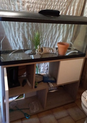 Aquarium avec meuble - avec,