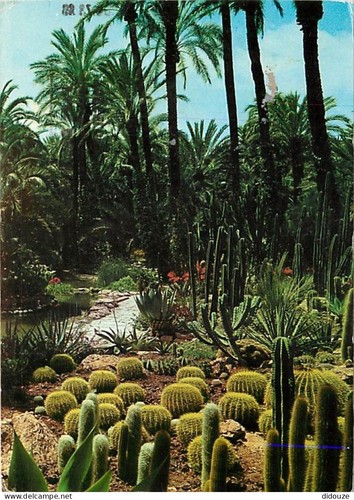 Carte postale fleurs - postale,