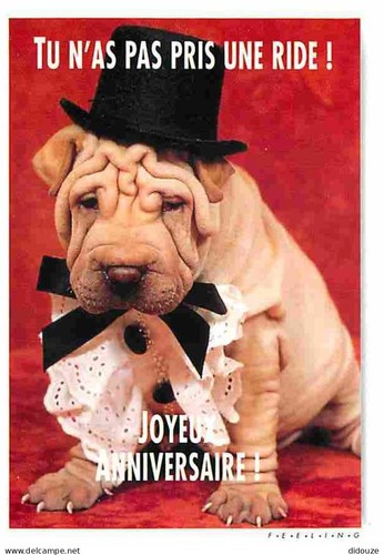 Carte postale animaux - carte,