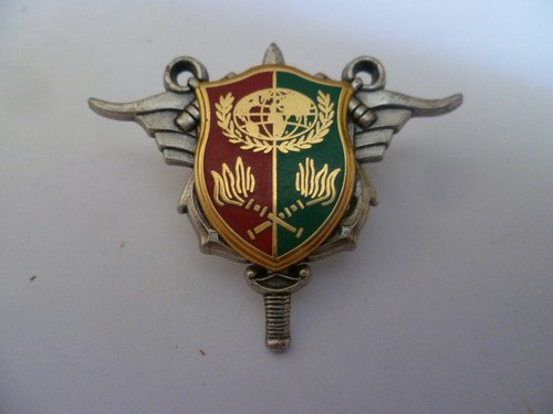 Ancien insigne pucelle - ancien,