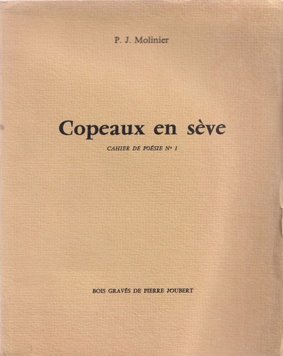 Copeaux sève cahier de - copeaux, en