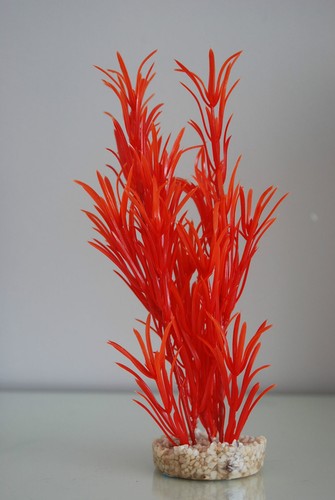 Aquarium orange mer pelouse - aquarium,