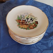 12 anciennes assiettes à