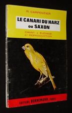 Le Canari du Harz ou Saxon 