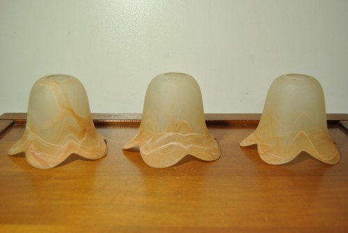 Tulipes verre pour - 3,