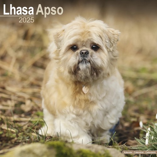 Calendrier 2025 lhassa - 2025,