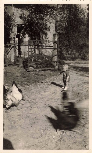 Ancienne photographie jeune - photographie,