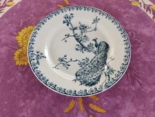 Assiette Plate ancienne Terre
