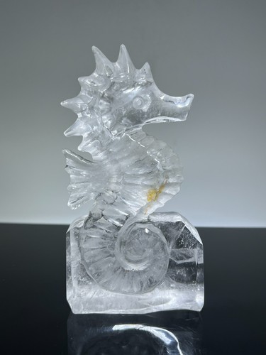 Quartz cristal hippocampe - cristal,