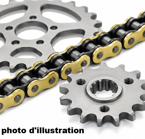 Kit chaine transmission afam - kit,