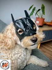 Déguisement Chien Masque de