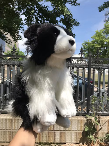 Border collie plush - plush, toy