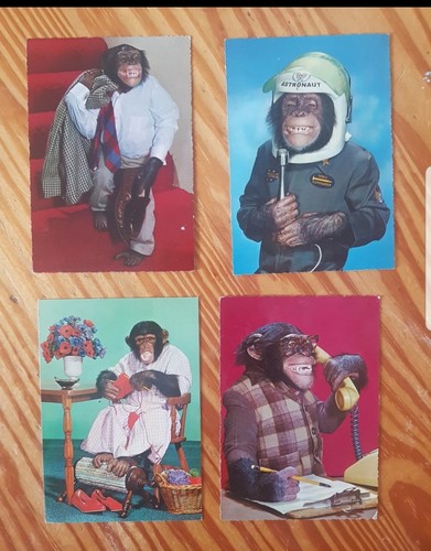 Lot cartes postales - de, 4