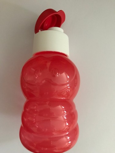 Gourde enfant 310 eco - gourde,