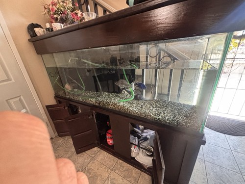 Large aquarium with wooden - aquarium,