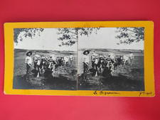 Photo harness cow bull Le Bignoeuvre 88 1903 R2-245