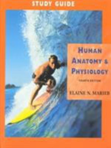 Humain anatomy physiologie - anatomy, et