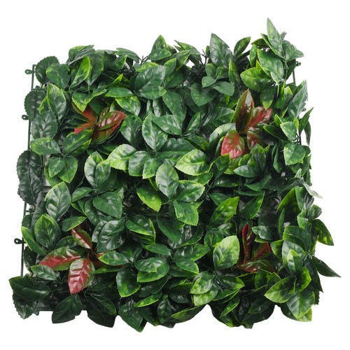 Plante pelouse carrée - de,