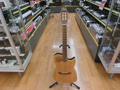Guitare électrique acoustique