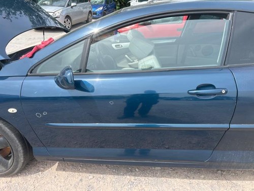 Porte avant gauche - peugeot, 407