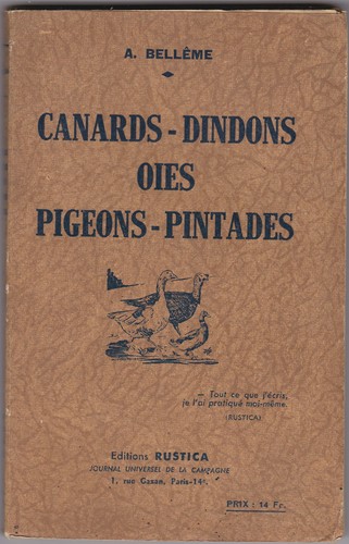 Canards dindons oies - canards,