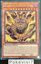 Carte YU-GI-OH! L'INCARNE DU