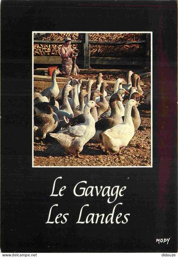 Carte postale metiers - postale,