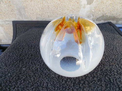 Tulipe globe gaetano - tulipe,