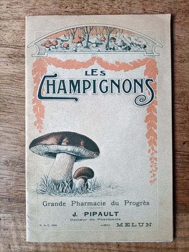 Les champignons vers 1920 - champignons,,