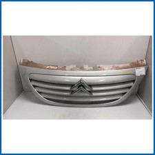 Grille Radiateur Centrale