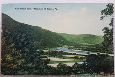 Pennsylvania PA Renova West Branch Susquehanna River Valley Postcard Old Vintage