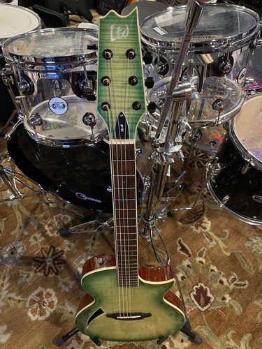 Esp ltd acoustic - ltd,
