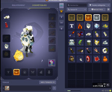 Compte dofus Féca 207 SALAR