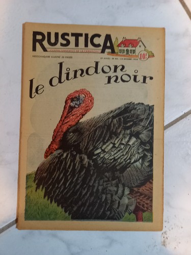 Hebdomadaire illustré - , 20