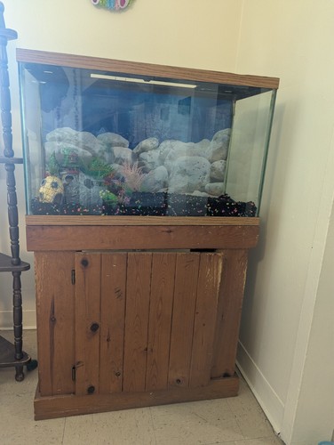 Gallon aquarium - gallon,